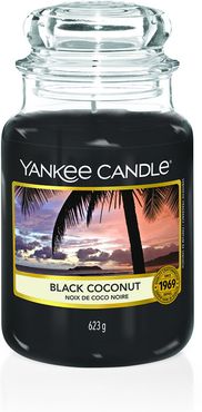 Black Coconut  Candela 623.0 g