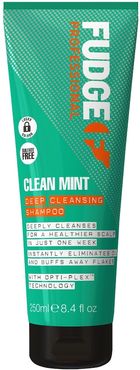 Clean Mint Clean Mint Deep Cleansing Shampoo