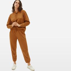 Lightweight French Terry Hoodie by Everlane in Cider, Size XS