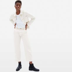 Arc Canvas Pant by Everlane in Canvas, Size 14