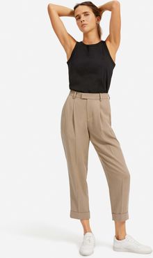 Put-Together Pleat Pant by Everlane in Clay, Size 10