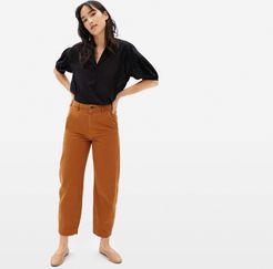 Arc Canvas Pant by Everlane in Copper, Size 14