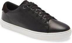 Darall Sneaker