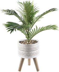 FLORA BUNDA 31" Palm in 10" Geo Fiberglass Pot on Stand at Nordstrom Rack