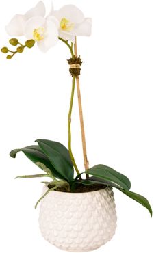 Pearl Orchid Planter Decoration