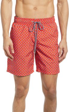 Print Swim Trunks