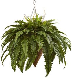 NEARLY NATURAL Green 26" Giant Boston Fern with Cone Hanging Basket at Nordstrom Rack