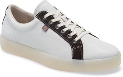 Fly London Reed Sneaker