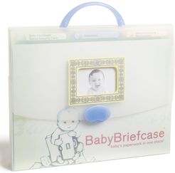 Babybriefcase Document Organizer