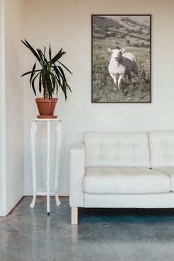 PTM Images Large Wild Sheep Canvas Wall Art at Nordstrom Rack