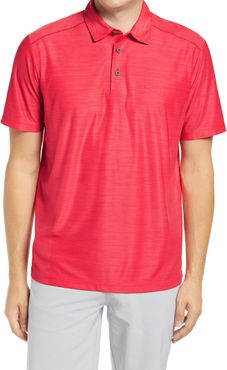 Palm Coast Classic Fit Polo