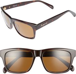 Wilshire 55mm Polarized Sunglasses - Dark Tortoise/ Brown Polar