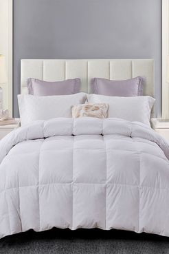 Blue Ridge Home Fashions Serta All Season Down 100% Cotton Comforter - Full/Queen - White at Nordstrom Rack