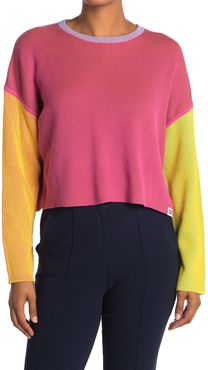 Diane von Furstenberg Taimi Colorblock Sweater at Nordstrom Rack