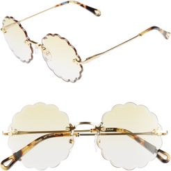 Chloe Rosie 60mm Scalloped Sunglasses at Nordstrom Rack