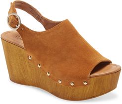 Elated Platform Wedge Sandal