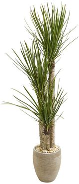NEARLY NATURAL Green 64" Yucca Artificial Tree in Sand Colored Planter at Nordstrom Rack