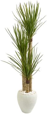 NEARLY NATURAL Green 5.5-Ft. Yucca Artificial Tree in White Planter at Nordstrom Rack