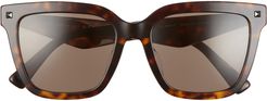 55mm Square Sunglasses - Havana/ Brown