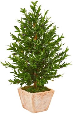 NEARLY NATURAL 35" Olive Cone Topiary Artificial Tree in Terra Cotta Planter UV Resistant at Nordstrom Rack