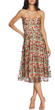 Janice Embroidered Fit & Flare Dress