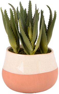 Santa Fe Aloe Planter Decoration