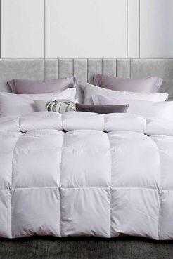 Blue Ridge Home Fashions Martha Stewart 300 Thread Count White Down Comforter - Full/Queen at Nordstrom Rack