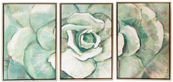 Gallery 57 Succulent Triptych Floating Canvas Wall Art - 48" x 24" at Nordstrom Rack
