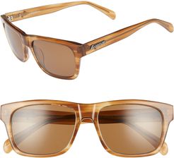Wilshire 55mm Square Sunglasses - Cedar/ Brown
