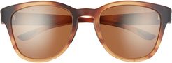 Topekas 51mm Polarized Sunglasses - Tortoise Amber