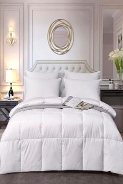 Blue Ridge Home Fashions Kathy Ireland Extra Warmth White Down Fiber Comforter - Full/Queen at Nordstrom Rack