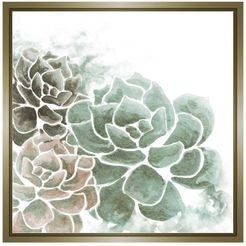 PTM Images Succulent Plant Gallery Wrapped Giclee Print at Nordstrom Rack