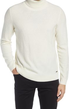 Brian Merino Wool Turtleneck Sweater