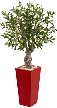 NEARLY NATURAL Green 40" Olive Artificial Tree in Red Tower Planter at Nordstrom Rack