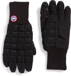 Northern Liner Gloves
