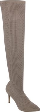 Version Pointed Toe Over The Knee Boot