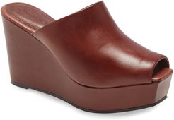 Bala Platform Wedge Slide Sandal