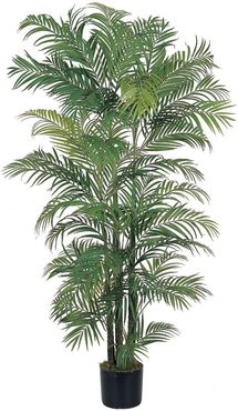 NEARLY NATURAL Green 6' Areca Silk Palm Tree at Nordstrom Rack