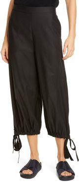 CO Tton Crop Pants at Nordstrom Rack