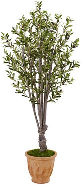 NEARLY NATURAL Green 5ft. Olive Artificial Tree in Terracotta Planter at Nordstrom Rack