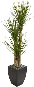 NEARLY NATURAL Green 63" Yucca Artificial Tree in Black Planter at Nordstrom Rack