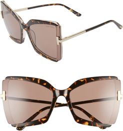 Gia 63mm Oversize Butterfly Sunglasses - Dark Havana/ Roviex