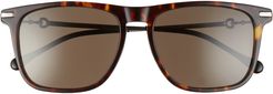 55mm Square Sunglasses - Havana/ Brown