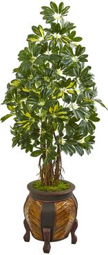NEARLY NATURAL 57" Schefflera Artificial Tree in Decorative Planter at Nordstrom Rack