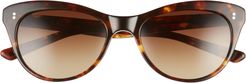 Hillier 55mm Polarized Cat Eye Sunglasses - Toasted Toffee