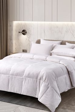 Blue Ridge Home Fashions Cannon Extra Warmth Goose Feather & Down Fiber Comforter - Full/Queen - White at Nordstrom Rack