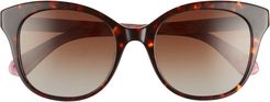 Bianka 52mm Polarized Cat Eye Sunglasses - Havana/ Pink/ Brown Gradient