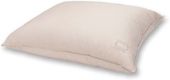 Allied Home Nikki Chu King Cotton White Down Pillow with Removable Cover at Nordstrom Rack