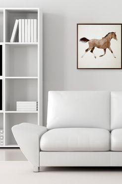 PTM Images Large Wild Spirit Canvas Wall Art at Nordstrom Rack