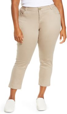Plus Size Women's Wit & Wisdom Ab-Solution Ankle Skimmer Jeans